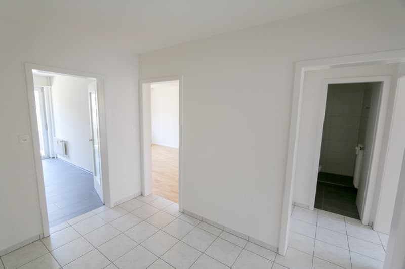 Appartamento di 3 locali appena ristrutturato in posizione centrale a Berna (7)
