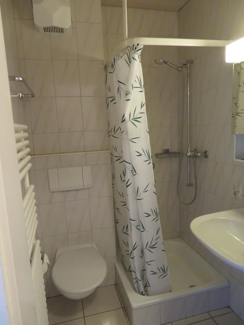 helle 1-Zimmerwohnung in Ostermundigen (3)