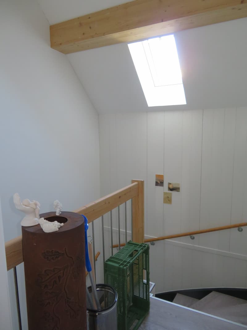2.5-Zimmer-Dachwohnung zu vermieten (5)
