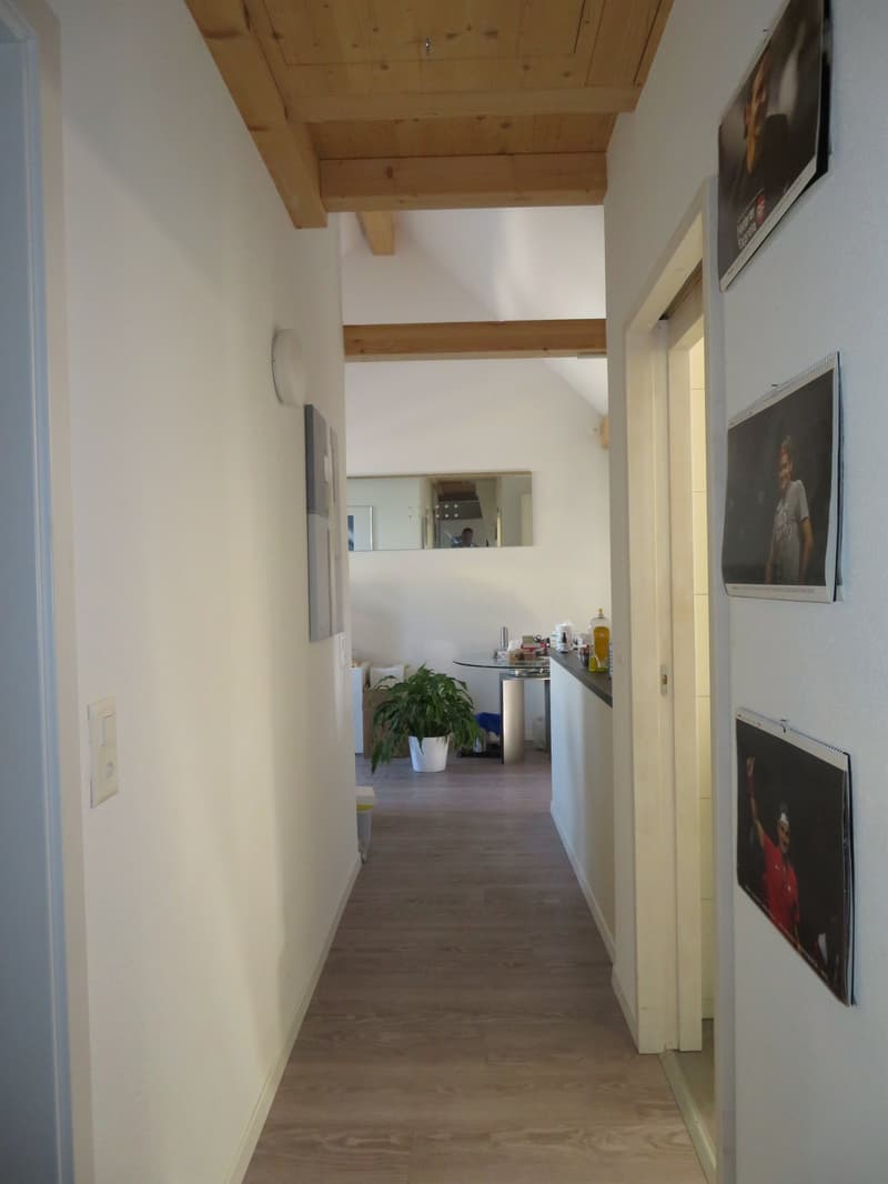 2.5-Zimmer-Dachwohnung zu vermieten (7)