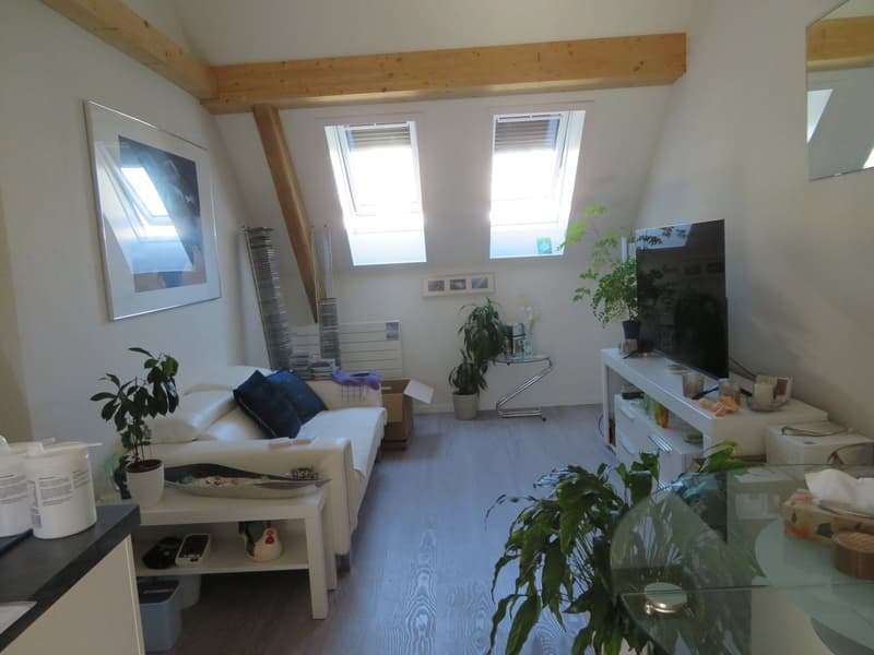 2.5-Zimmer-Dachwohnung zu vermieten (1)