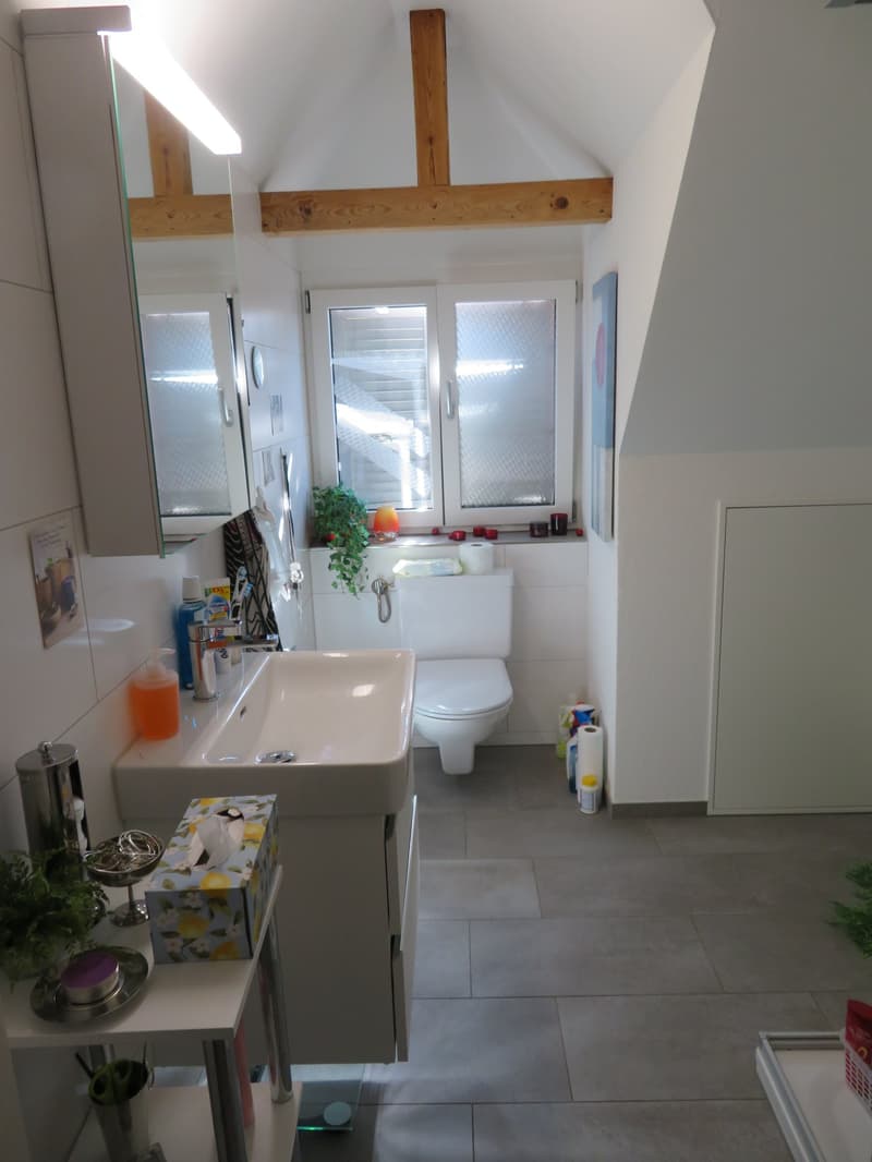 2.5-Zimmer-Dachwohnung zu vermieten (4)