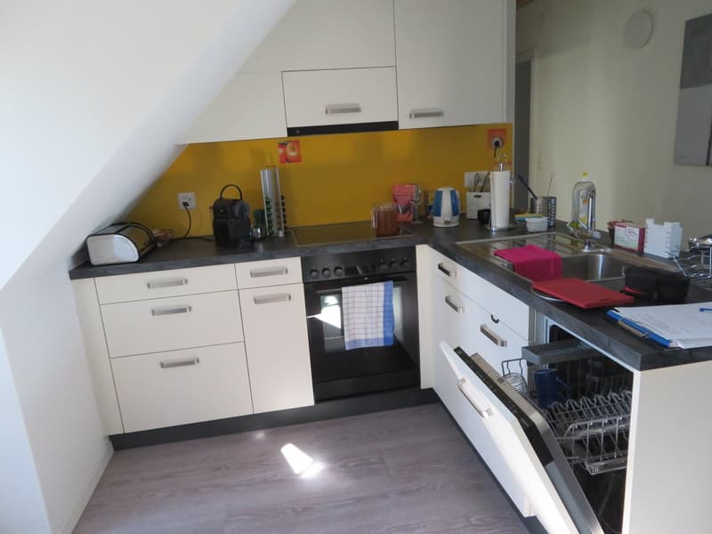 2.5-Zimmer-Dachwohnung zu vermieten (3)