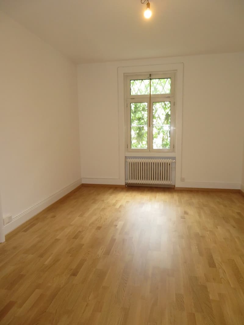 Herrschaftliche 4.5 Zimmerwohnung mit schönem Gemeinschaftsgarten (4)