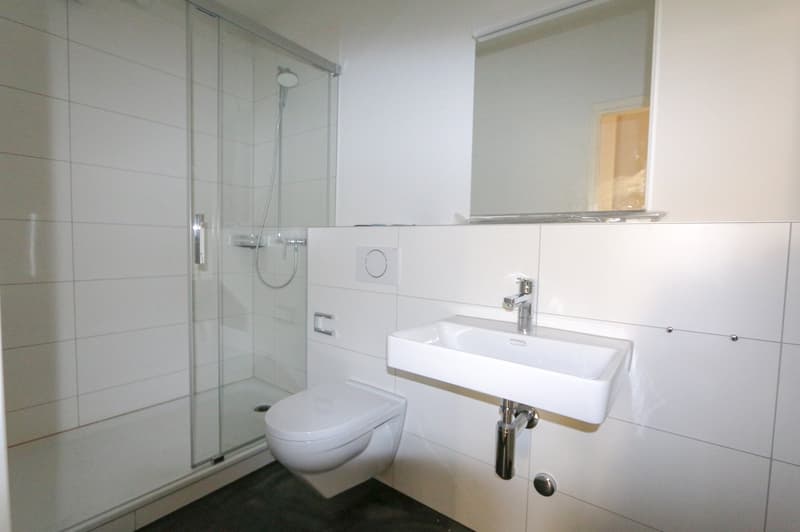 renovierte 2-Zimmer-Wohnung mit Balkon an der Hallerstrasse in Bern (7)