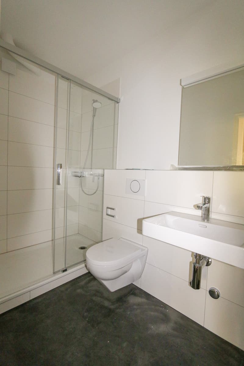 renovierte 2-Zimmer-Wohnung mit Balkon an der Hallerstrasse in Bern (8)