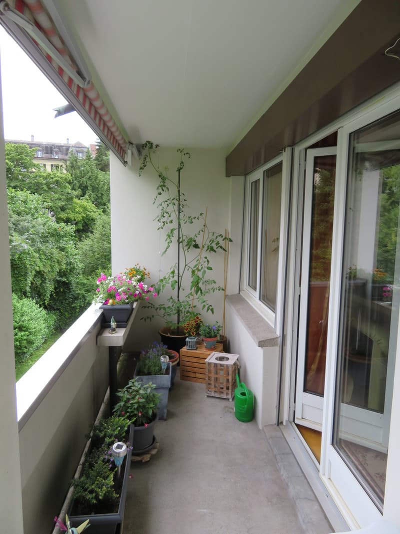 Bern - Sulgenauweg / ruhig gelegene Stadt-Wohnung (3)
