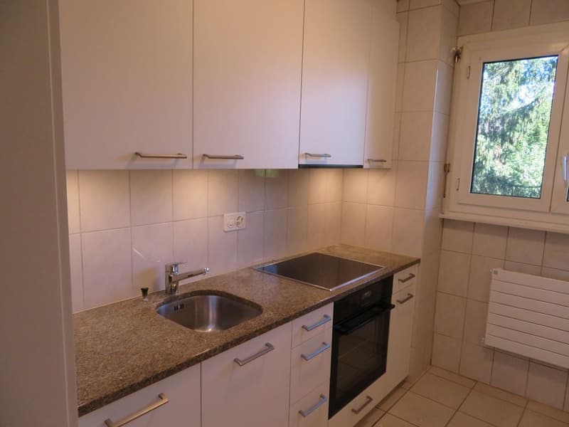 Bern - Sulgenauweg / ruhig gelegene Stadt-Wohnung (4)