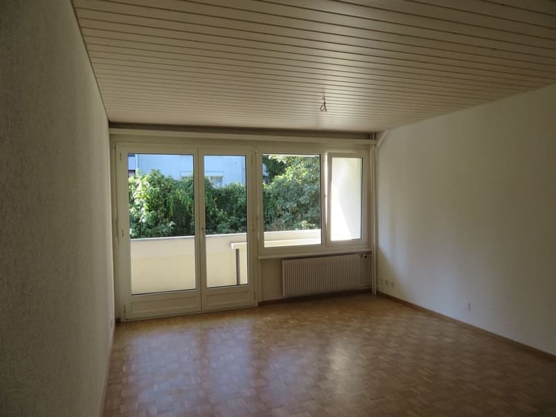Bern - Sulgenauweg / ruhig gelegene Stadt-Wohnung (10)