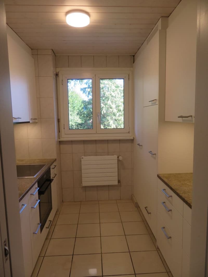 Bern - Sulgenauweg / ruhig gelegene Stadt-Wohnung (5)