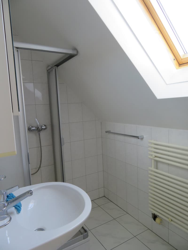 Charmante Dachwohnung zu vermieten (3)