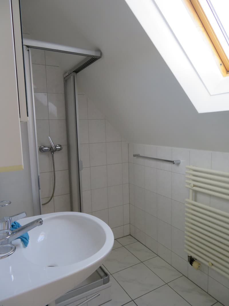 Charmante Dachwohnung zu vermieten (4)
