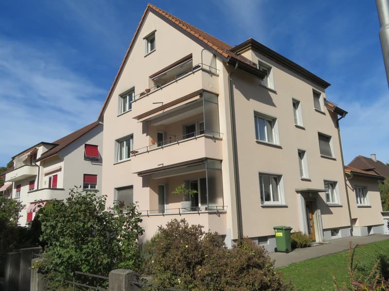 Charmante Dachwohnung zu vermieten (2)