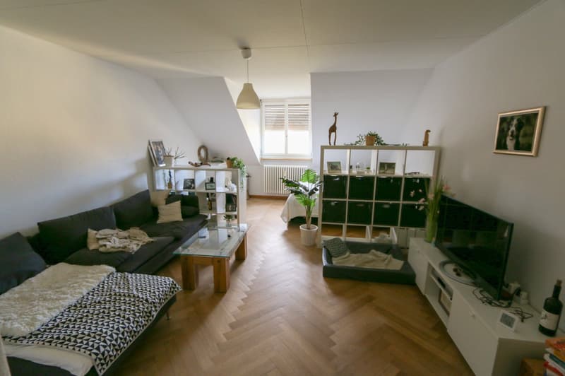 Gemütliches 1-Zimmer-Apartment im 3. OG an ruhiger Lage in Bern (4)