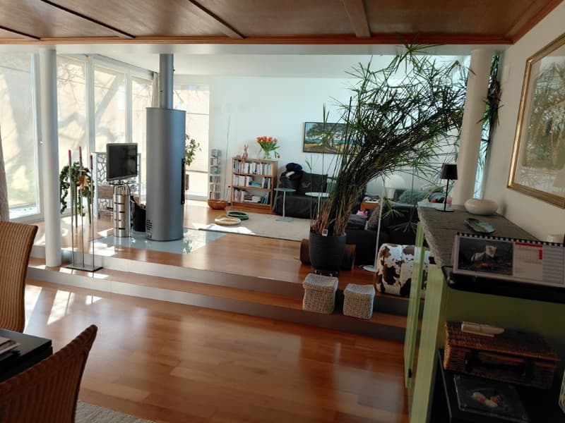 spacious living room with wooden floors, large windows, open plan with living and dining area, shelving unit, coffee table, couch, TV, framed artwork on the wall, houseplants, radiator