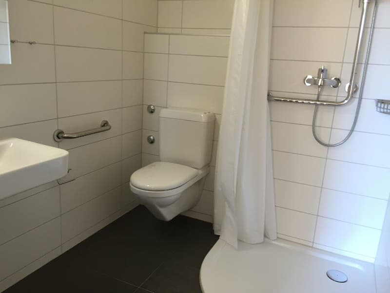 Appartement 3 1/2 pièces, 2e étage gauche (3)
