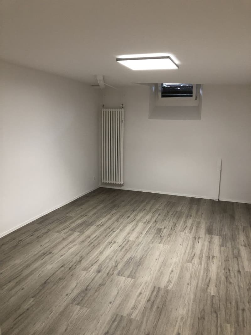 Stanza da lavoro, seminterrato (6)
