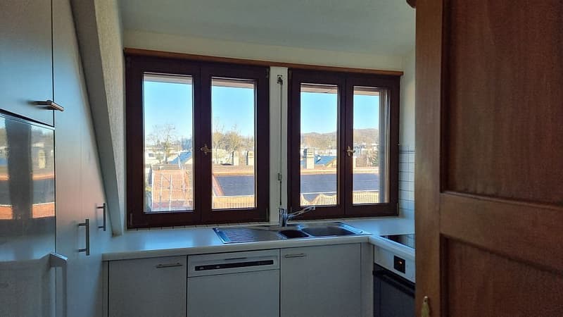 Appartement mansardé de 3,5 pièces avec galerie et toit en pente (2)