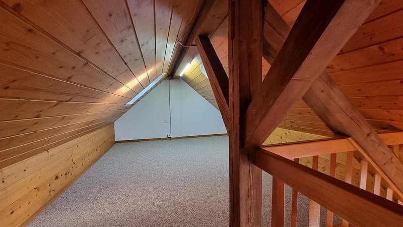 Appartement mansardé de 3,5 pièces avec galerie et toit en pente (9)