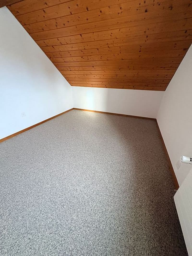 Appartement mansardé de 3,5 pièces avec galerie et toit en pente (8)