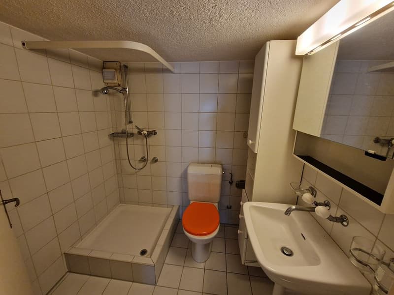 Charming 2-room apartment, 3rd floor left with elevator - no balcony (4)