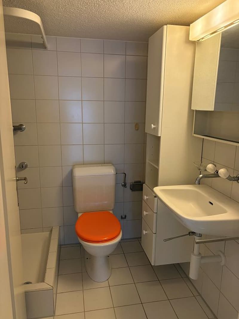 Charming 2-room apartment, 3rd floor left with elevator - no balcony (5)