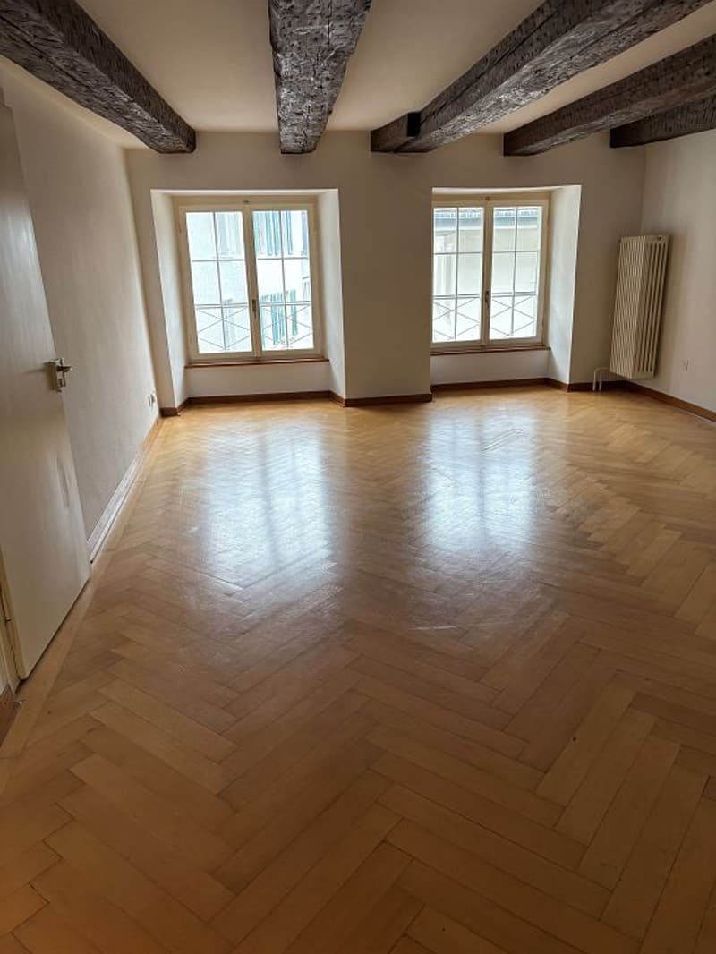 Charming 2-room apartment, 3rd floor left with elevator - no balcony (3)