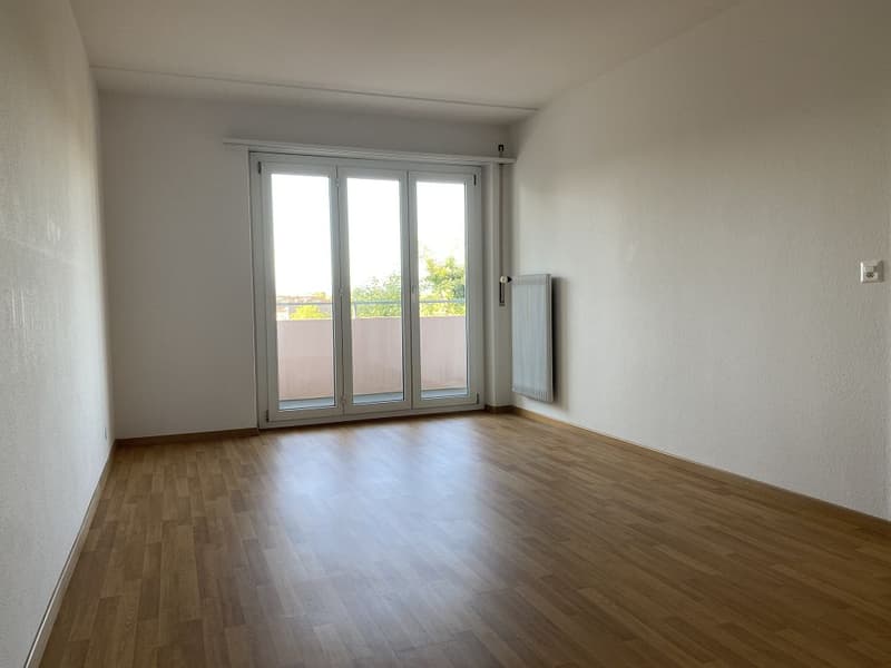 Appartamento 2 locali, piano terra centro (4)