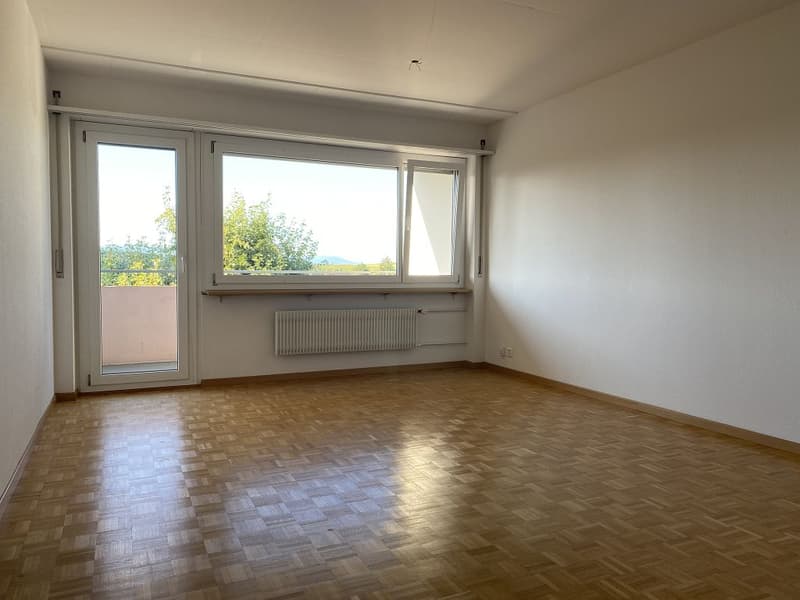 Appartamento 2 locali, piano terra centro (3)
