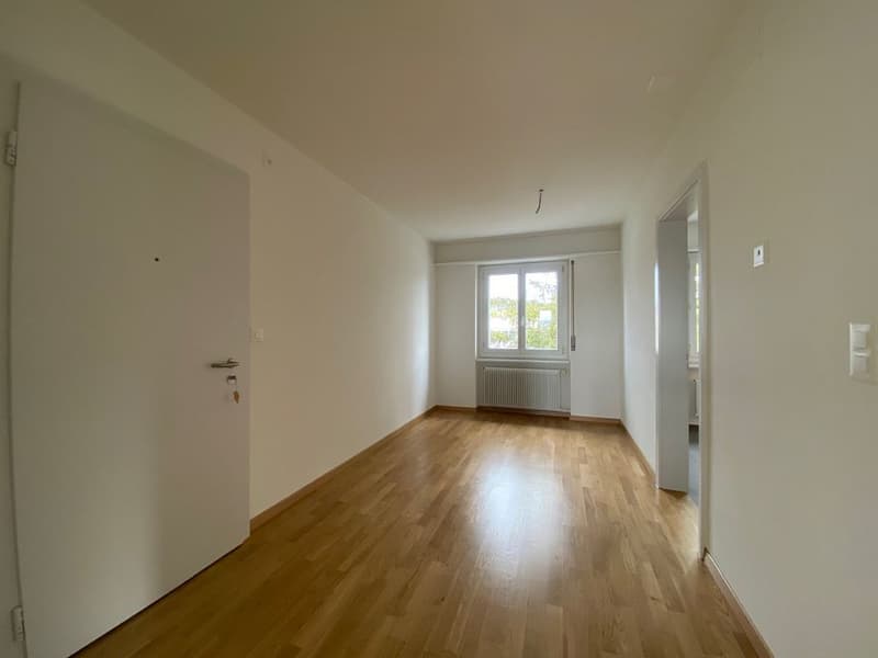 Ruhig gelegene 4.5-Zimmerwohnung in Derendingen (2)