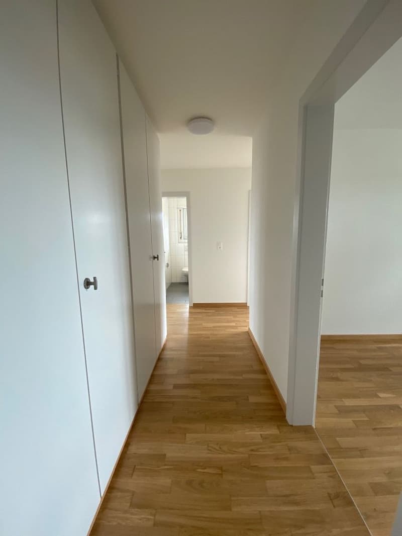 Ruhig gelegene 4.5-Zimmerwohnung in Derendingen (3)