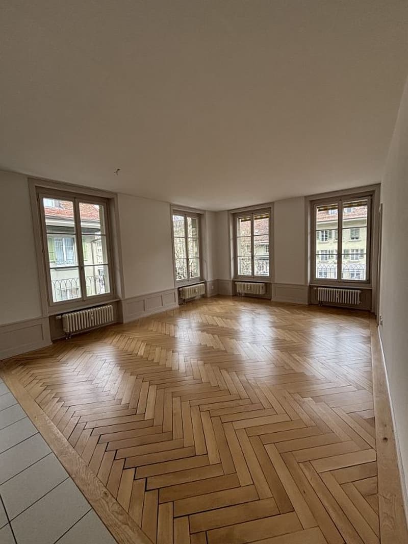 Appartamento di edificio vecchio moderno nel centro città (3)
