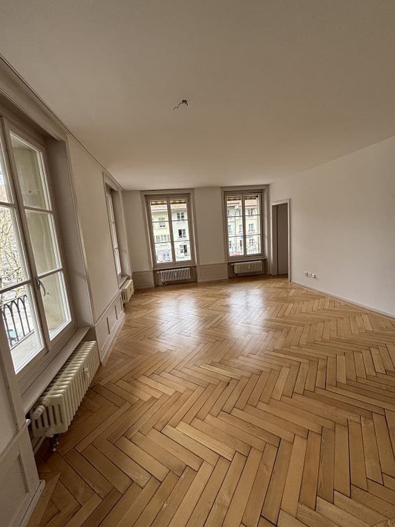 Appartamento di edificio vecchio moderno nel centro città (4)