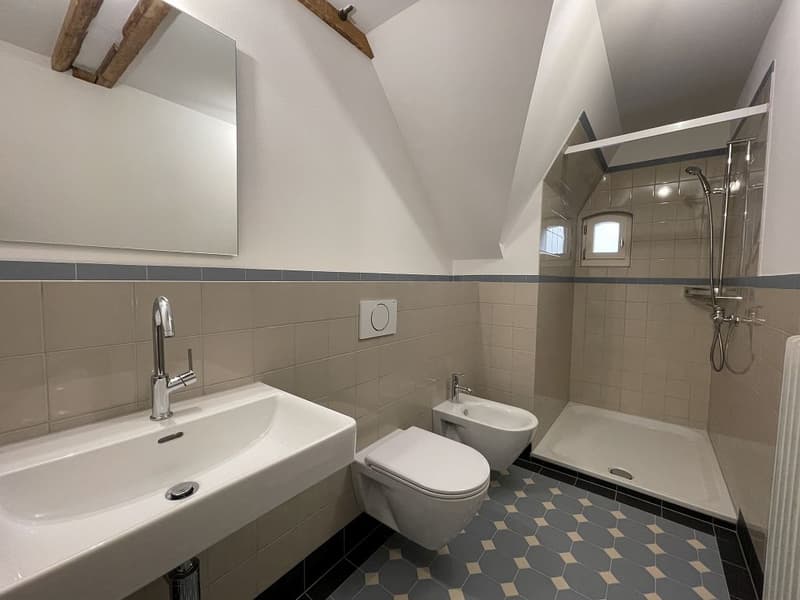 Charmant appartement de 2,5 pièces en mansarde (4)