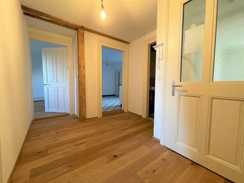 Charmante 2.5-Zimmer-Dachwohnung (9)