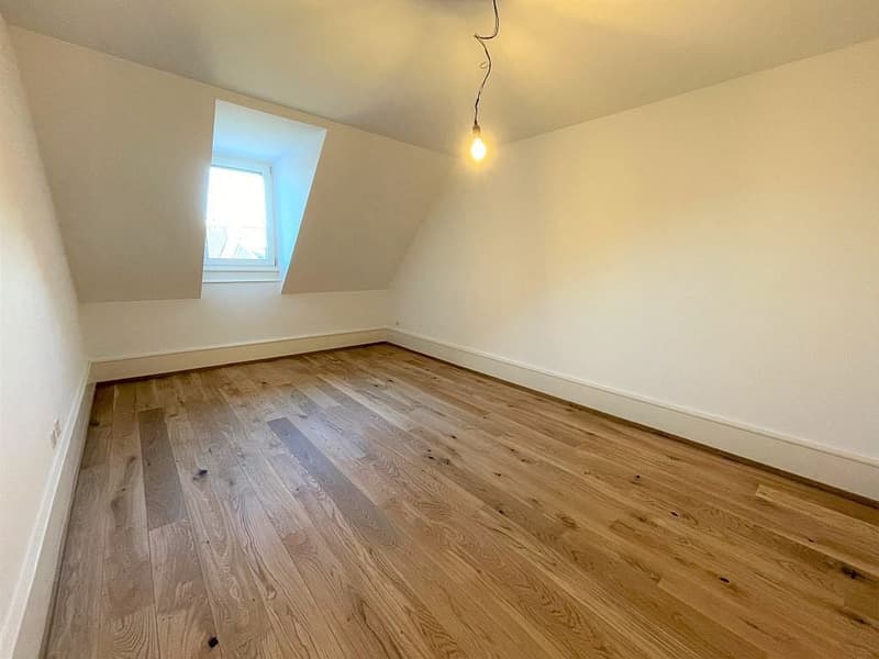 Charmante 2.5-Zimmer-Dachwohnung (6)