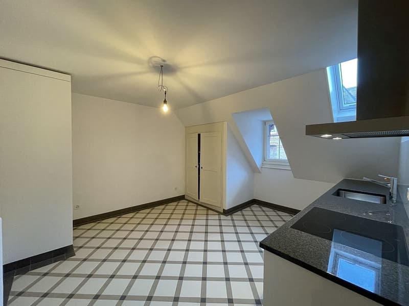 Charmante 2.5-Zimmer-Dachwohnung (3)
