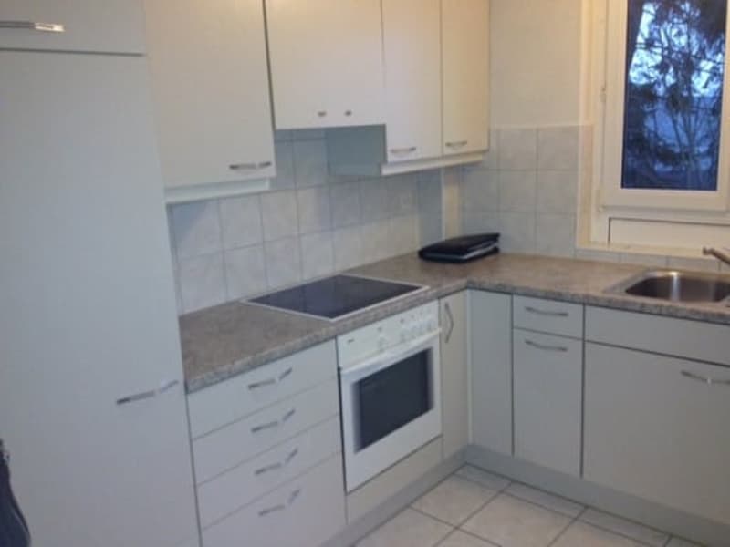 charmante 2 1/2-Zimmerwohnung, 1. Stock links (3)