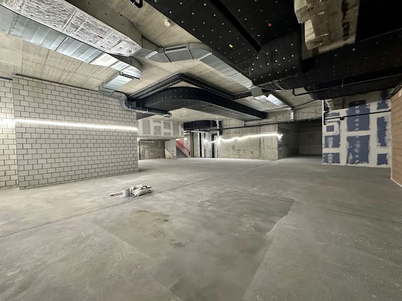 Cerchi uno spazio di stoccaggio situato in centro a Berna, a distanza ravvicinata dalla stazione ferroviaria? Allora i nostri locali di stoccaggio in Aarbergergasse 30 sono esattamente ciò che fa per te. La proprietà Aarbergergasse 30 a Berna è stata costruita nell'anno (7)