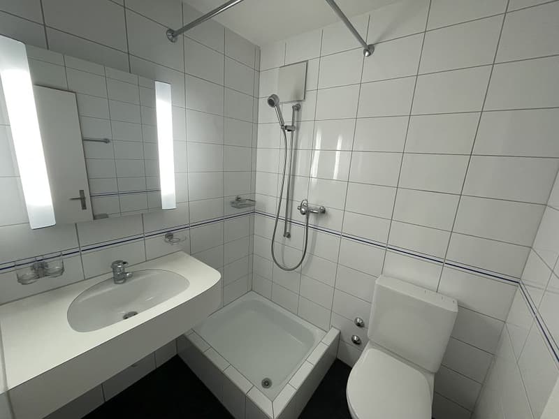 Appartement 4 1/2 pièces, 3e étage gauche (11)