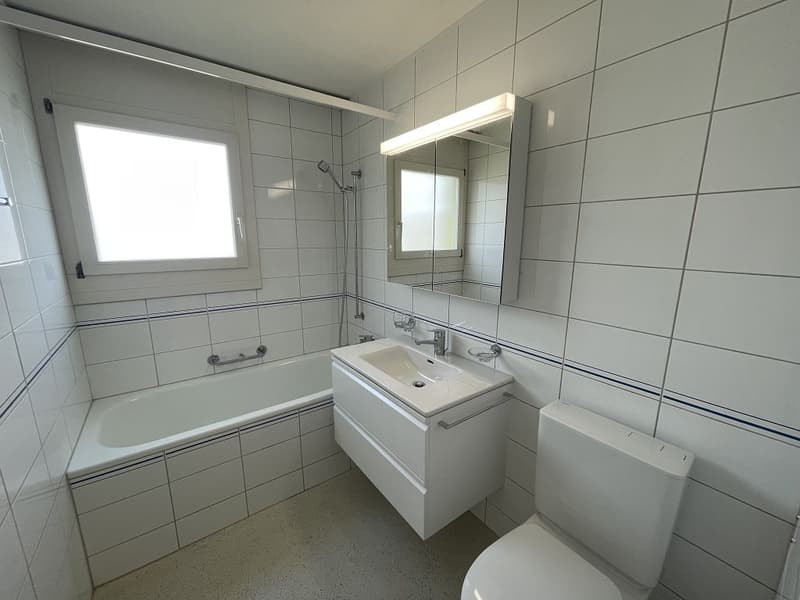 Appartement 4 1/2 pièces, 3e étage gauche (10)