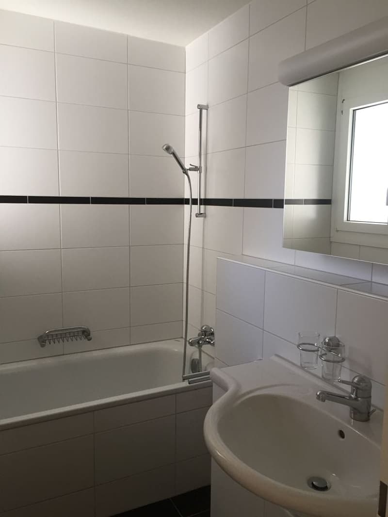 3 1/2-Zimmerwohnung, 2. Stock rechts (5)