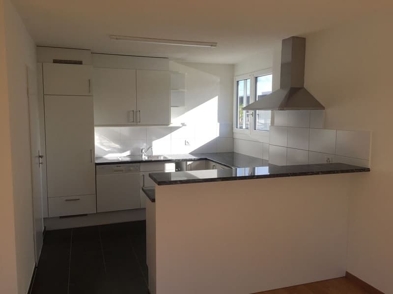 3 1/2-Zimmerwohnung, 2. Stock rechts (2)