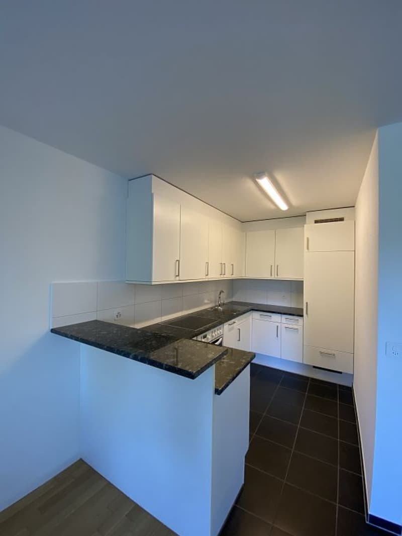 3 1/2-Zimmerwohnung, 2. Stock rechts (3)
