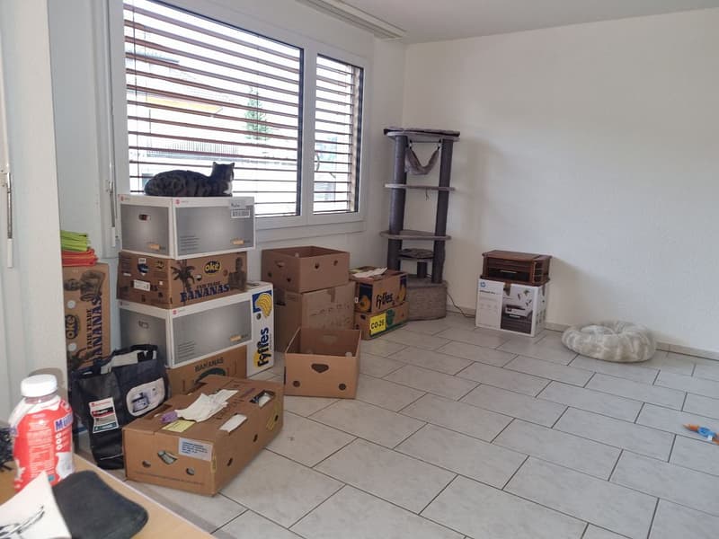 Appartement 3,5 pièces, rez-de-chaussée gauche (4)