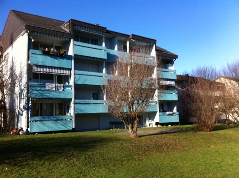 Appartement 1 pièce, rez-de-chaussée milieu (1)