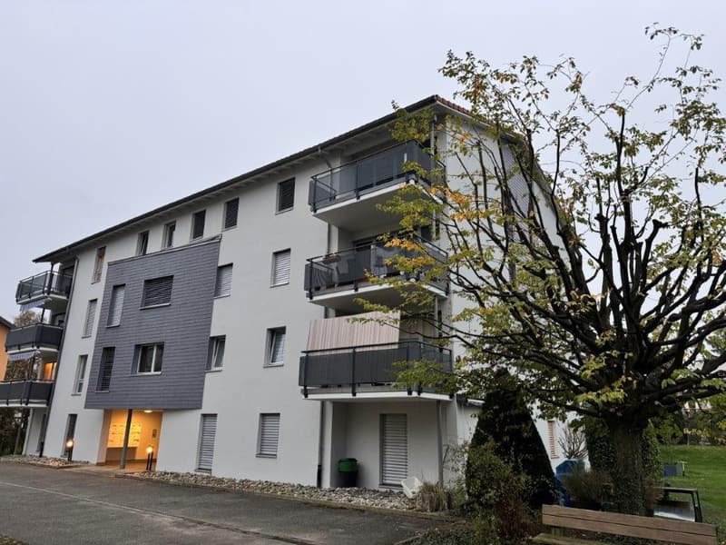 Hallenplatz Nr. 8 (1)