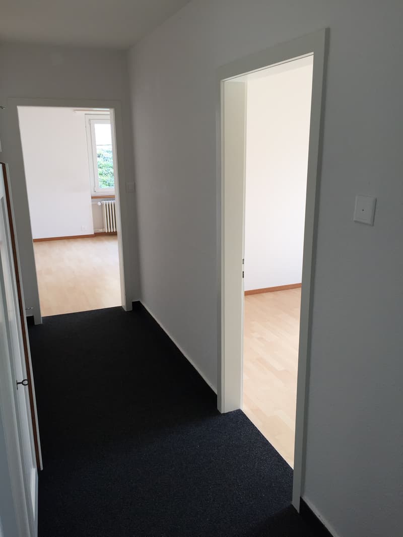 Appartement 2 pièces, rez-de-chaussée gauche (2)