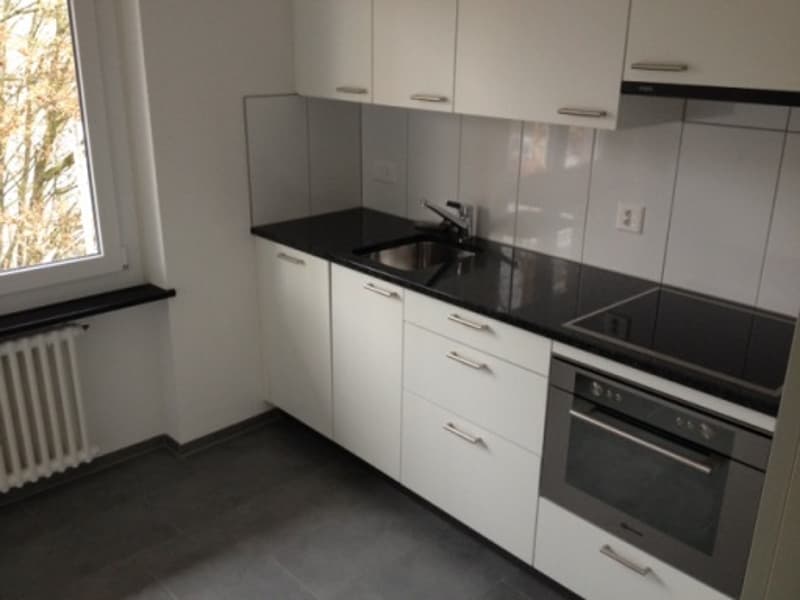 Appartement 2 pièces, rez-de-chaussée gauche (3)
