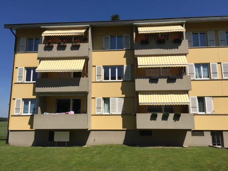 3 1/2-room apartment, 2nd floor left (1)